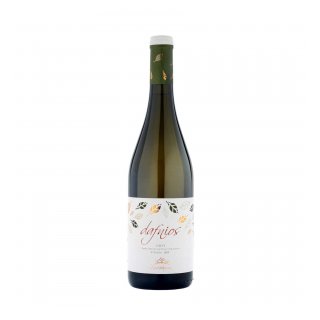 ΔΟΥΛΟΥΦΑΚΗΣ ΔΑΦΝΙΟΣ ΛΕΥΚΟΣ 2023