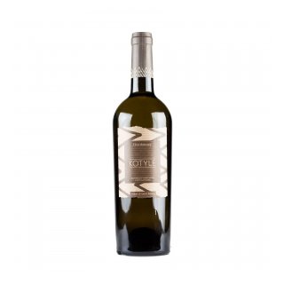KOTYLE CAB.SAUVIGNON ’22 750ml