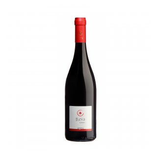ΣΚΟΥΡΑΣ FLEVA SYRAH 2024