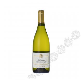 MOSCATO D' ASTI BERSANO DOCG 2024