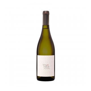 BIDOLI SAUVIGNON BLANC 2024