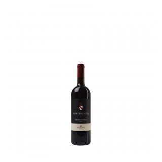 FONTERUTOLI CHIANTI CLASSICO DOCG 2023 375ml
