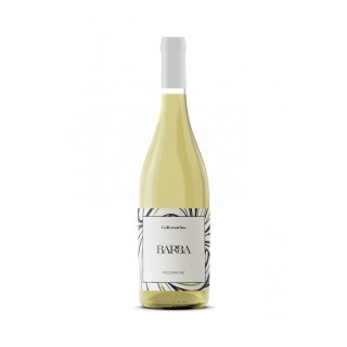 BARBA PECORINO D'ABRUZZO IGT 2025