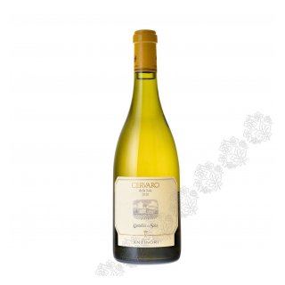 ANTINORI CERVARO DELLA SALA 2024