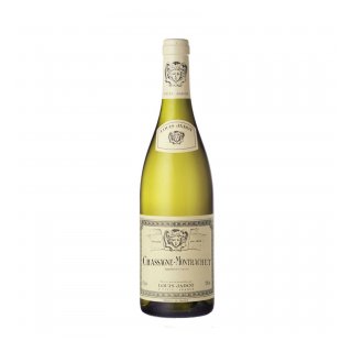 LOUIS JADOT CHASSAGNE-MONTRACHET 1,5L 2023