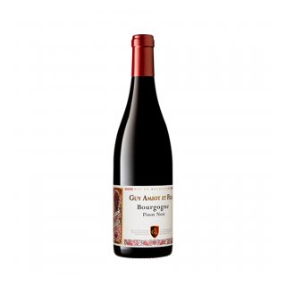 GUY AMIOT BOURGOGNE PINOT NOIR CUVEE SIMON 2022