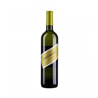 BROQUEL TORRONTES 2024