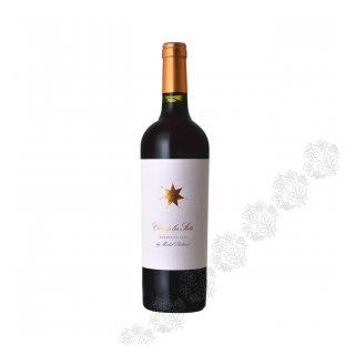 CLOS DE LOS SIETE MICHEL ROLLAND '21 