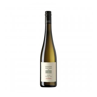 DOMANE WACHAU RIESLING FEDERSPIEL Ried Trenning 2024