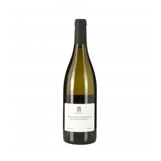 MOINOTERRA VILANA '24