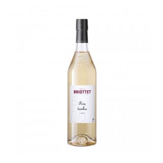 EDMOND BRIOTTET TONKA