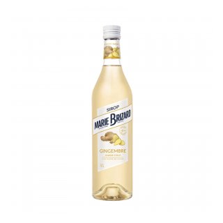MARIE BRIZARD SYRUP GINGER